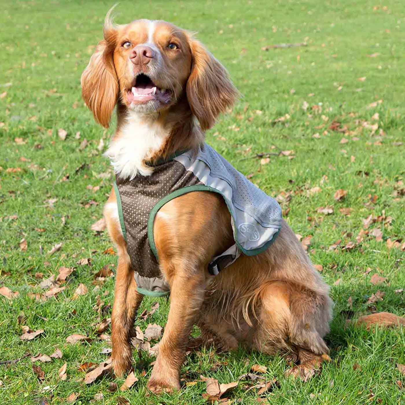 Scruffs Insect Shield Breathable Dog Vest