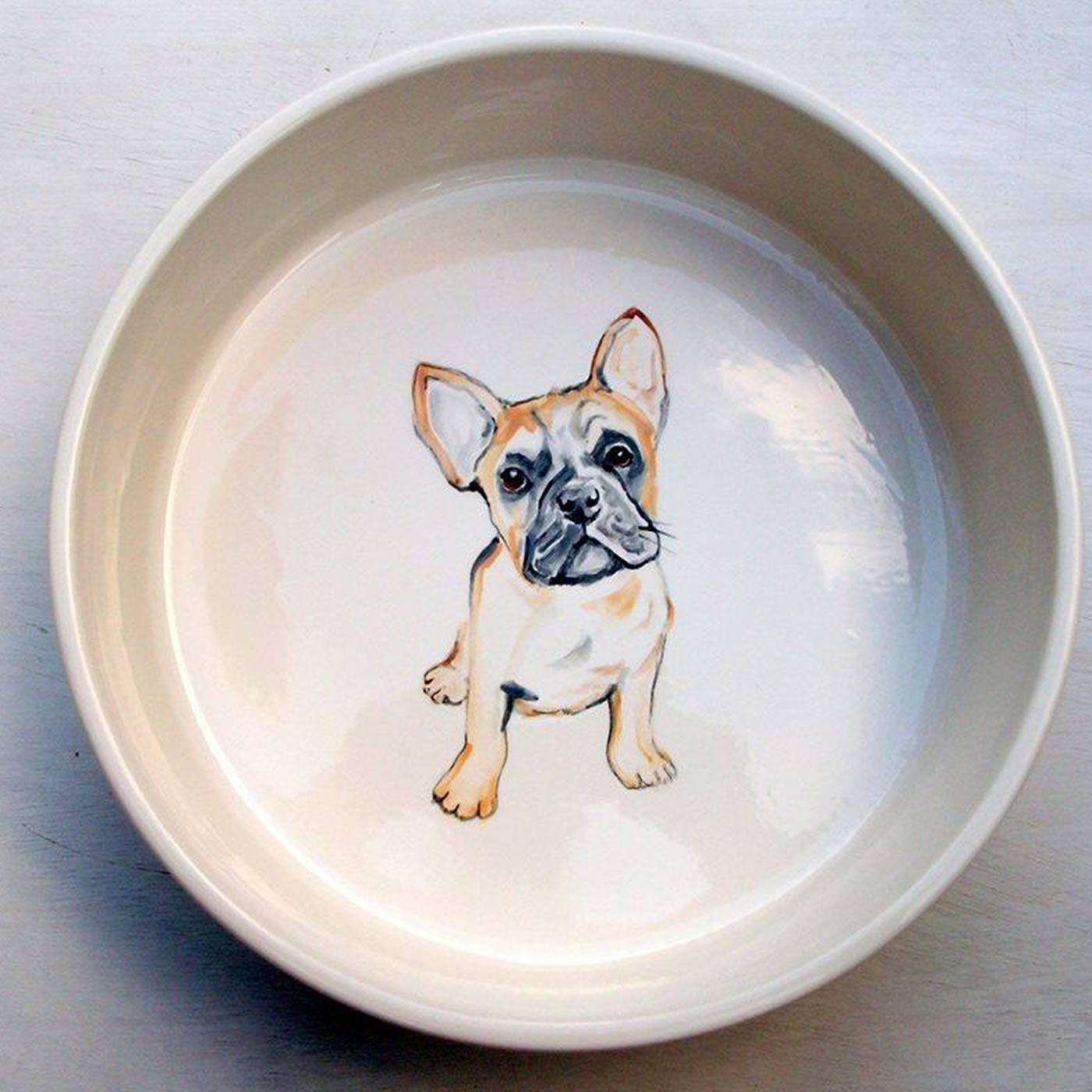 Puppy Food Bowls