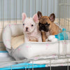 Puppy Crate Beds By Lords & Labradors