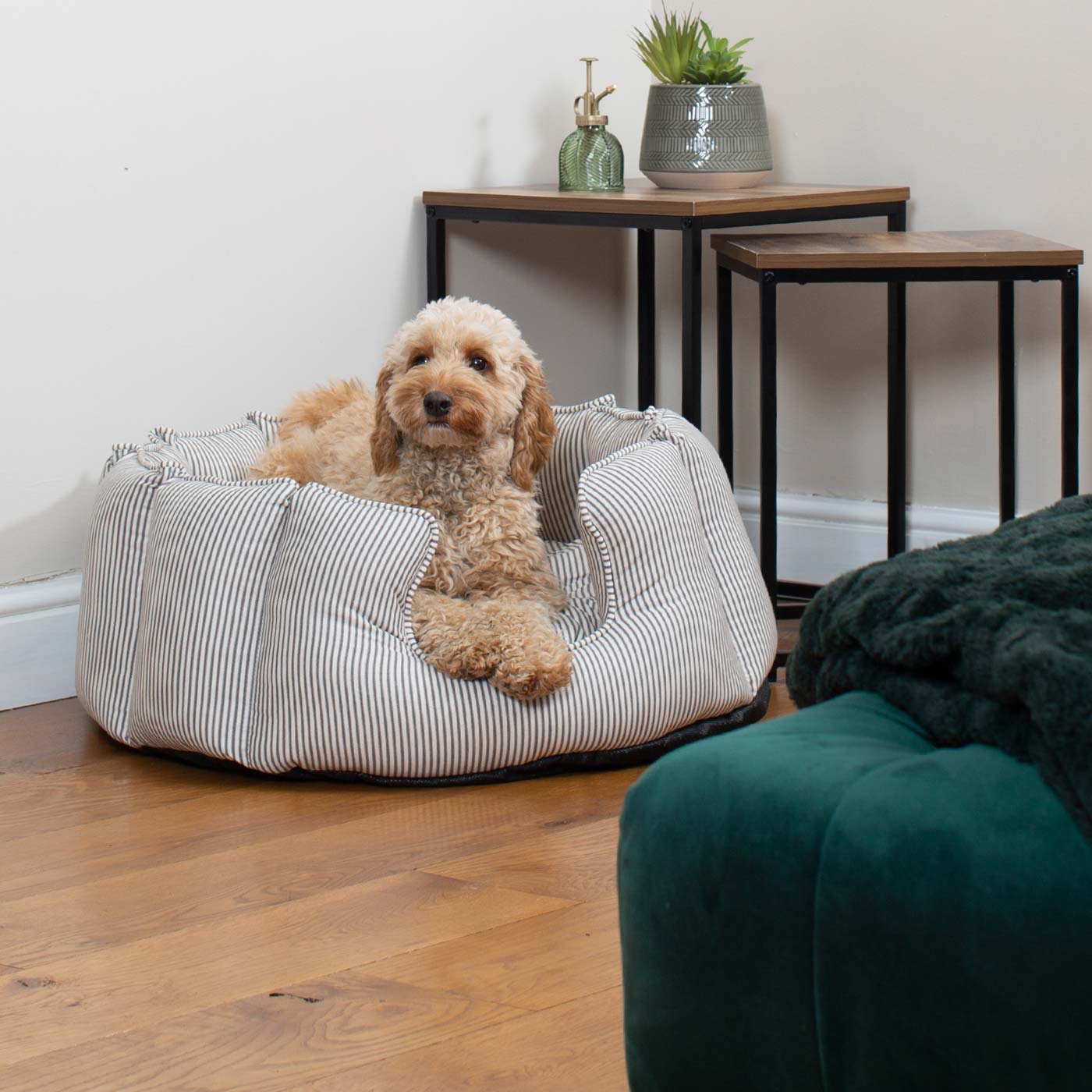 Discover Our Luxurious High Wall Bed For Dogs & Puppies, Featuring Reversible Inner Cushion With Teddy Fleece To Craft The Perfect Dog Bed In Stunning Regency Stripe! Available To Personalise Now at Lords & Labradors 