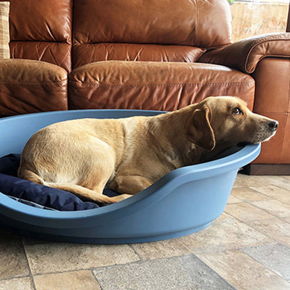 Rosewood Eco Plastic Dog Bed