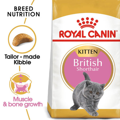 Royal Canin British Shorthair Kitten Dry Food