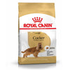 Royal Canin Cocker Adult Dog Food 3KG