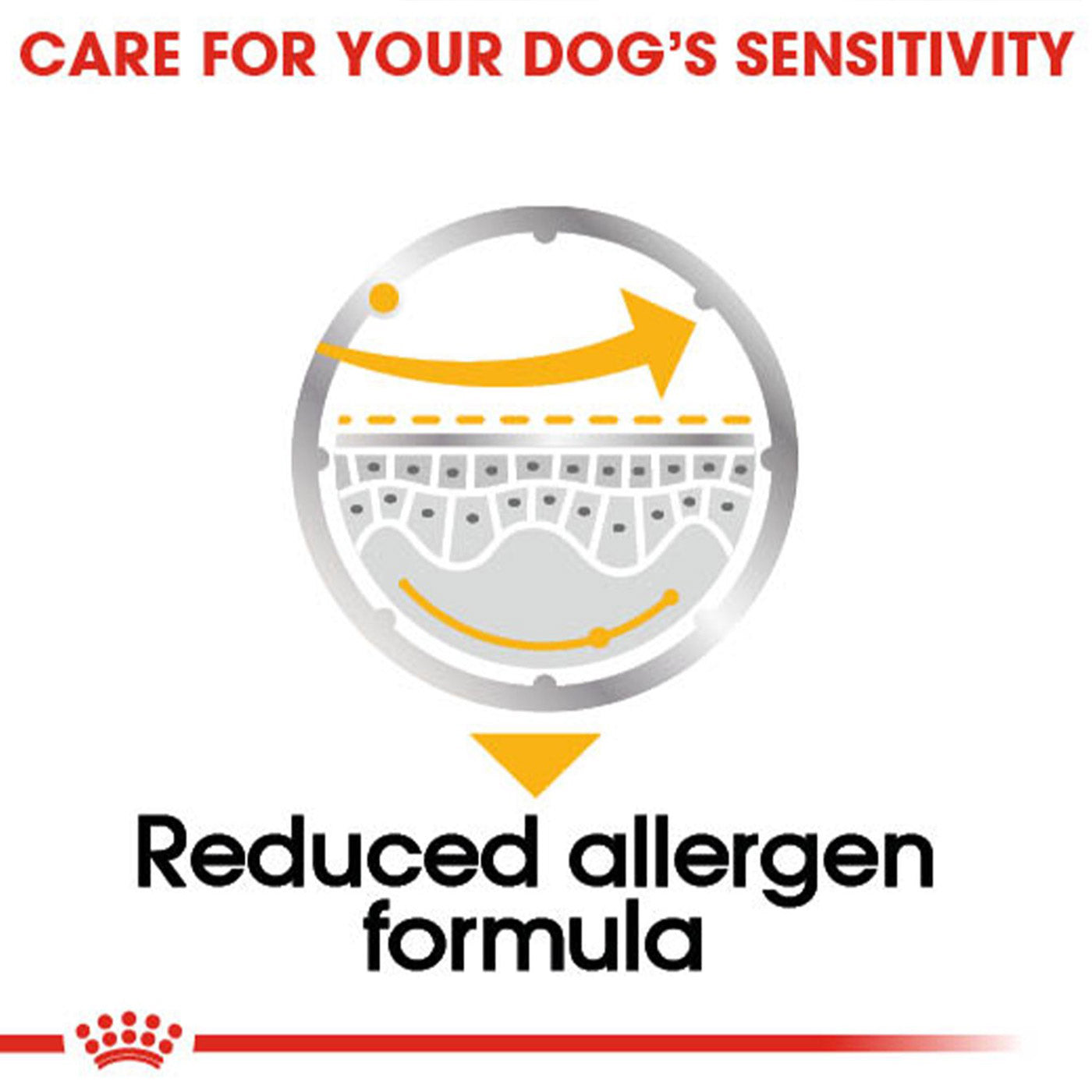 Royal Canin Derma Comfort Wet Adult Dog Food