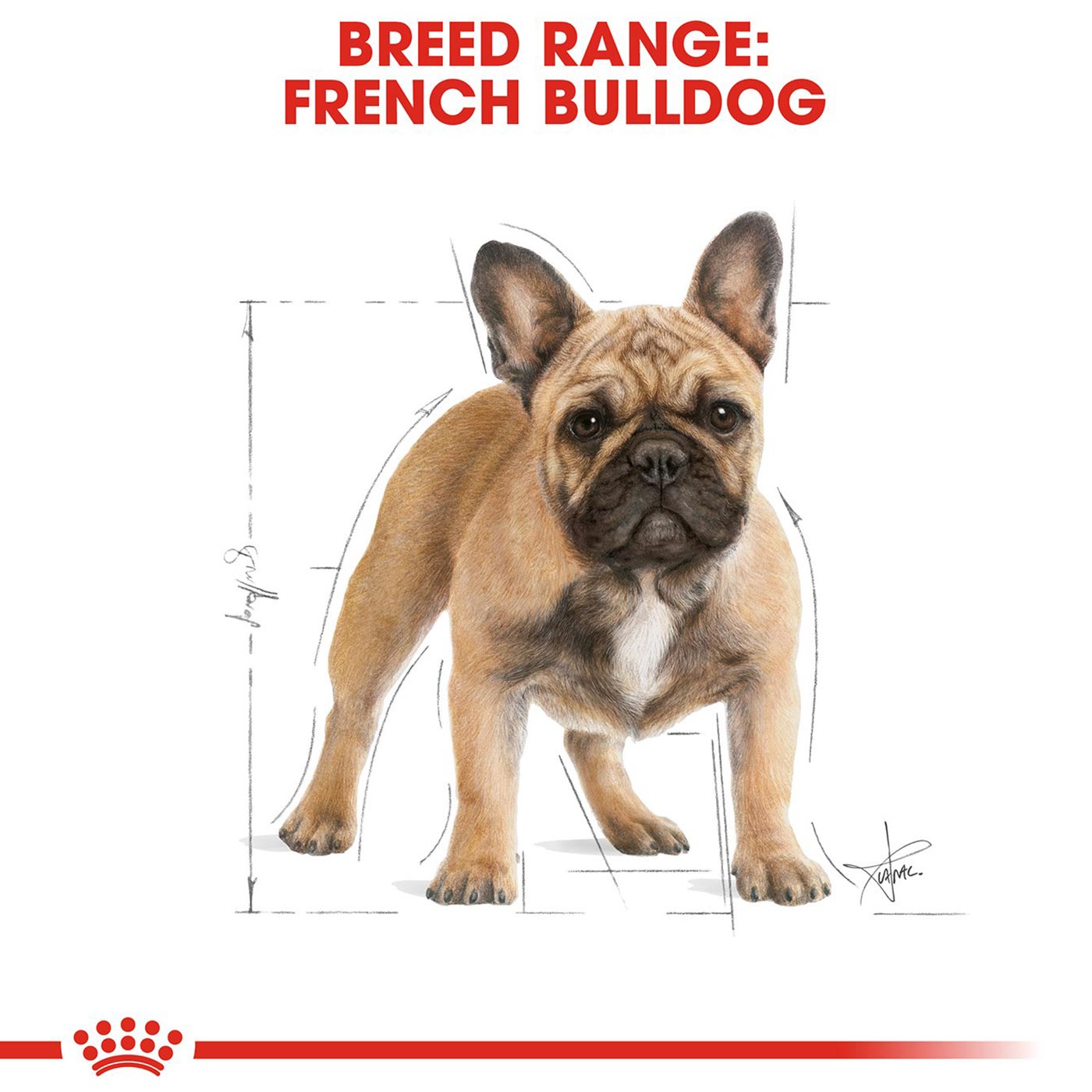 Royal Canin French Bulldog Adult Dog Food 3KG