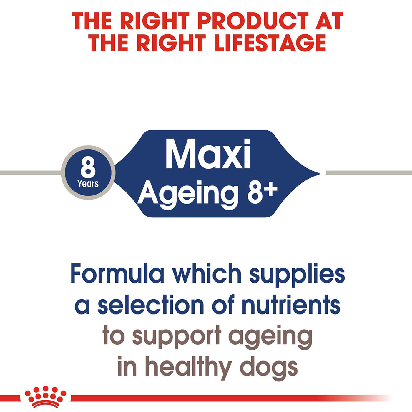 Royal Canin Maxi Ageing 8+ Wet Dog Food