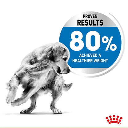 Royal Canin Medium Adult Light Weight Care Dog Food