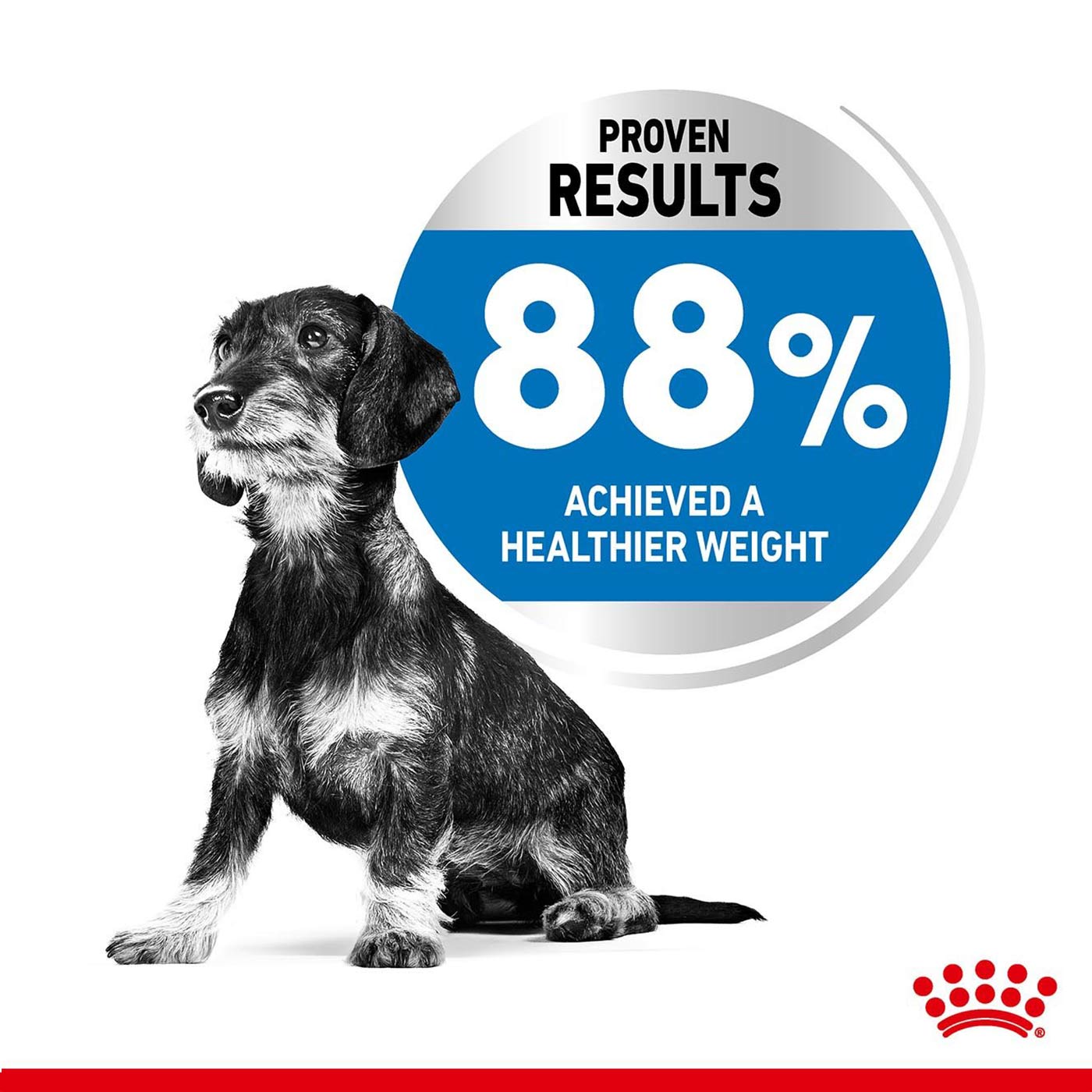 Royal Canin Mini Adult Light Weight Care Dog Food