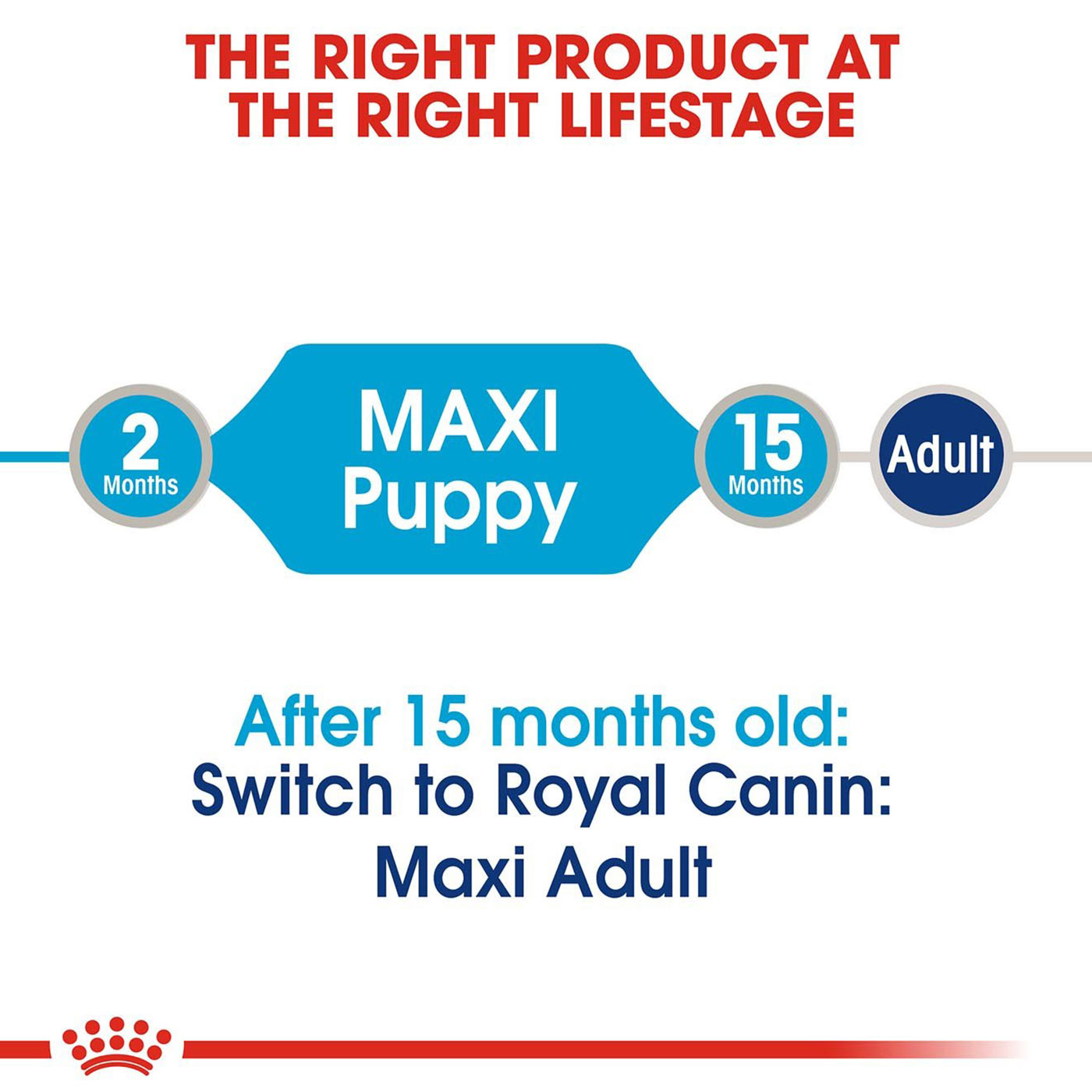 Royal Canin Puppy Maxi Breed Wet Dog Food
