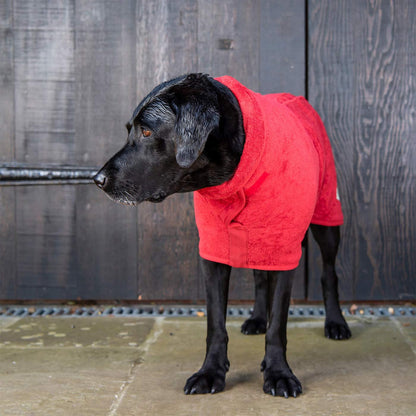 Ruff and Tumble brick red drying coat with black Labrador