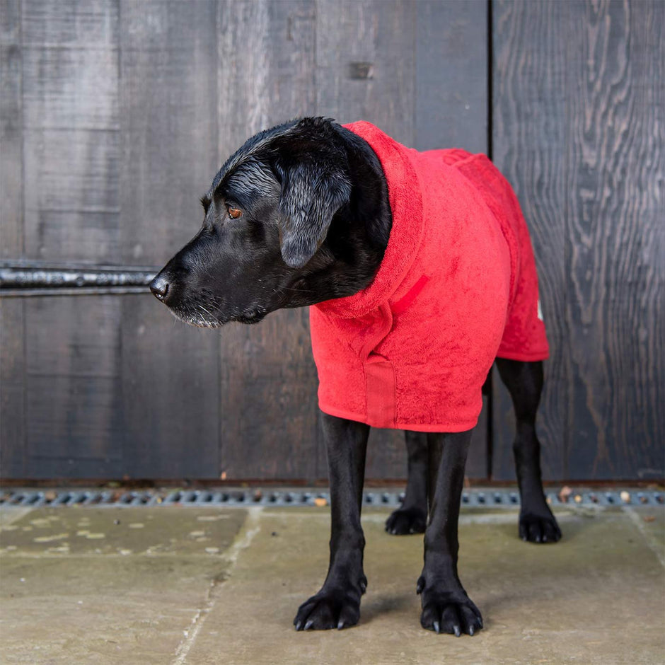 Design Collection Drying Coat Ruff & Tumble Lords & Labradors