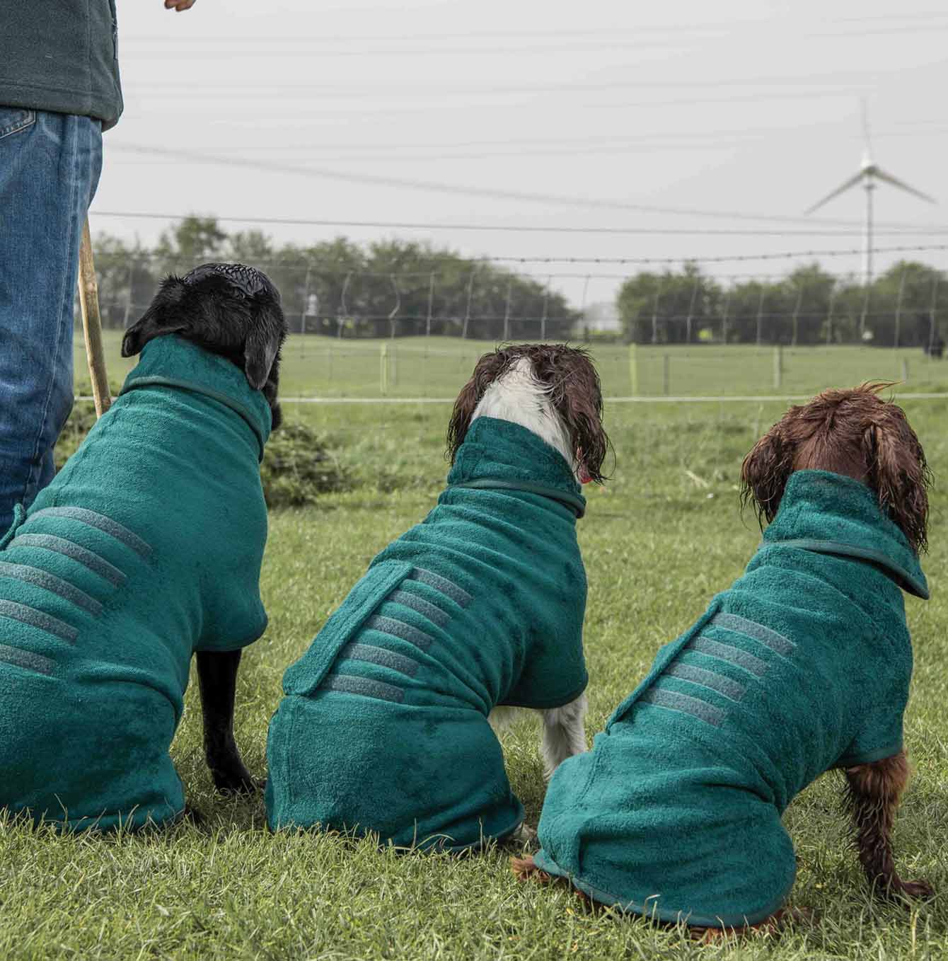 Ruff and Tumble classic drying coat in Bottle Green on field dogs [color:bottle green]