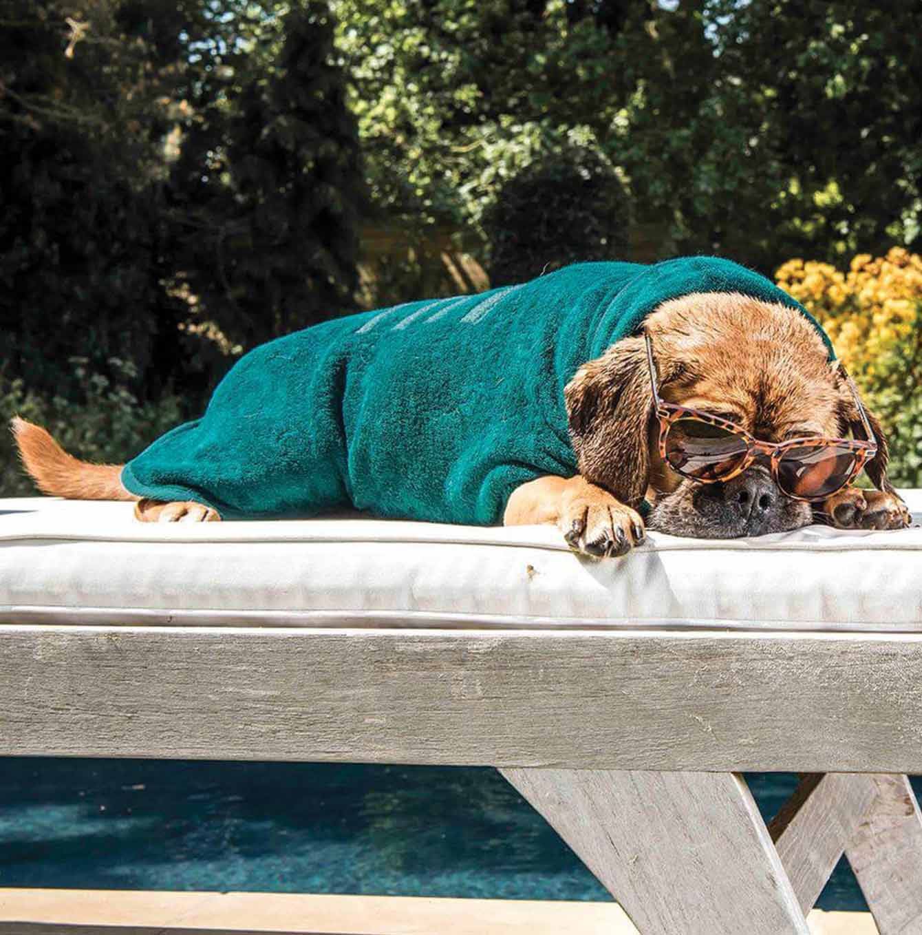 Ruff and Tumble classic drying coat in Bottle Green with pug sunbathing [color:bottle green]