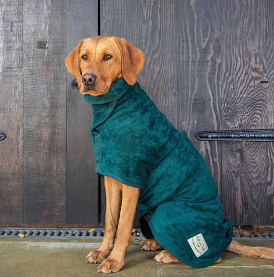 Ruff and Tumble classic drying coat in Bottle Green worn by Labrador in front of a barn [color:bottle green]