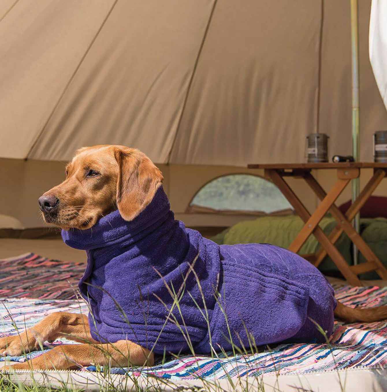 Ruff and Tumble classic drying coat in Heather with dog inside tent [color:heather] 