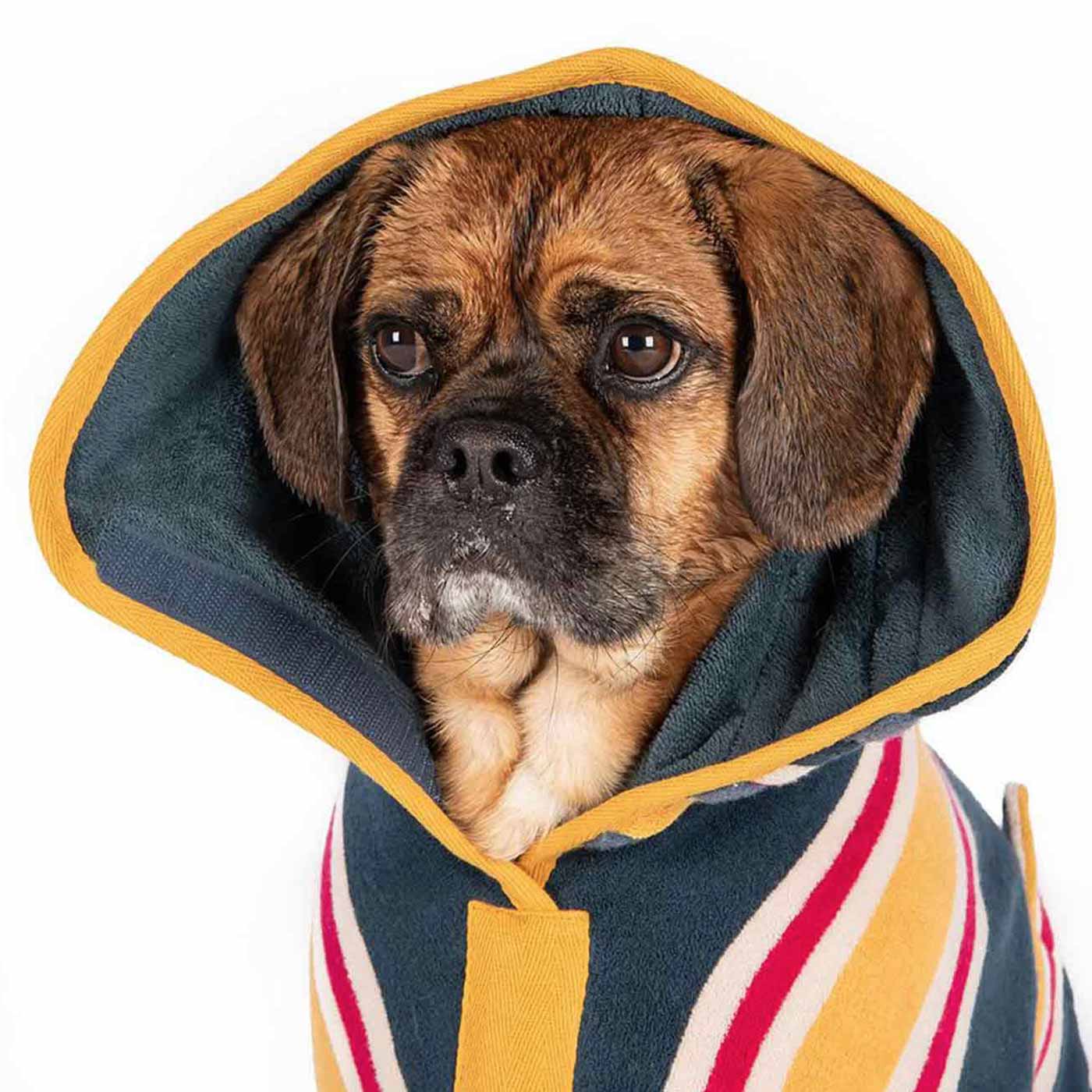 Design Collection Drying Coat Ruff & Tumble Lords & Labradors