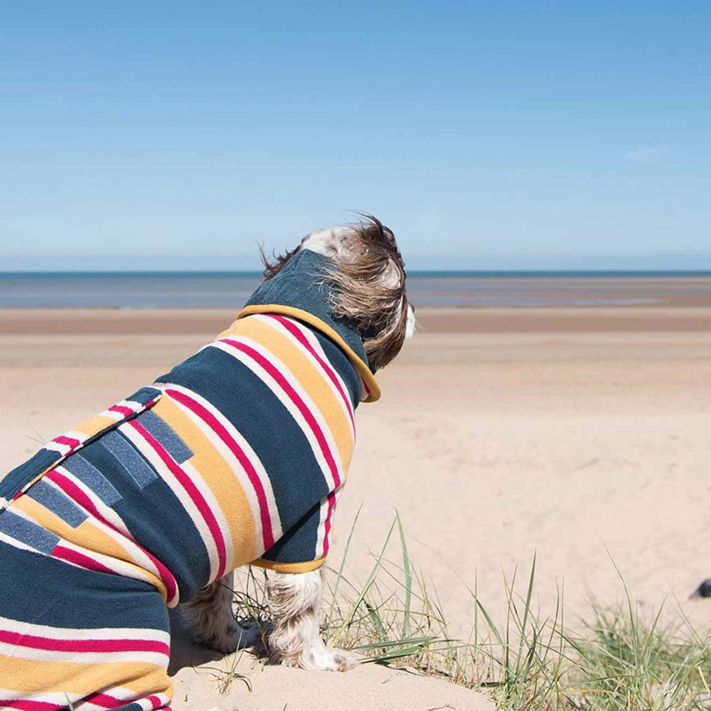 Design Collection Drying Coat Ruff & Tumble Lords & Labradors