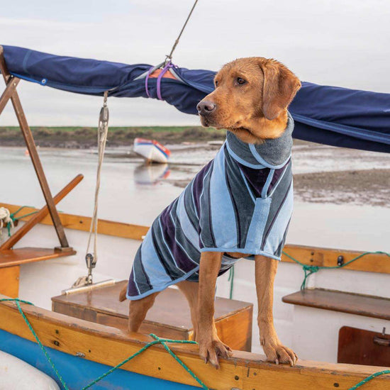 Design Collection Drying Coat Ruff & Tumble Lords & Labradors