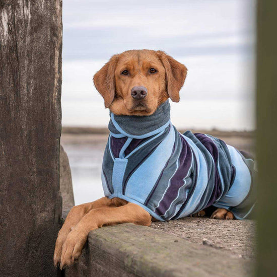 Design Collection Drying Coat Ruff & Tumble Lords & Labradors