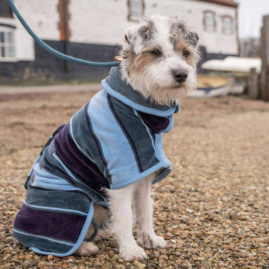 Design Collection Drying Coat Ruff & Tumble Lords & Labradors