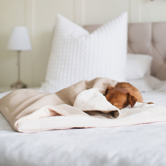 Discover Our Luxurious Savanna Oatmeal Dog Blanket With Super Soft Sherpa & Teddy Fleece, The Perfect Blanket For Puppies, Available To Personalise And In 2 Sizes Here at Lords & Labradors