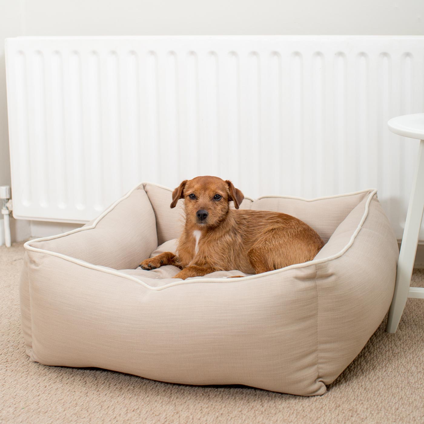 Box Bed For Dogs in Savanna Oatmeal by Lords & Labradors