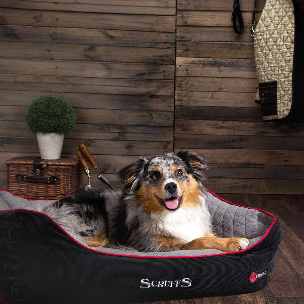 Scruffs Wilton Sofa Bed Dog Beds Lords & Labradors