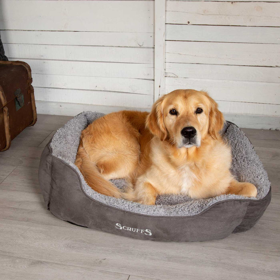 Ellen Donut Bed Scruffs Dog Bed Lords & Labradors
