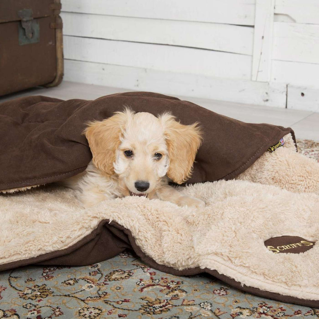 Ellen Donut Bed Scruffs Dog Bed Lords & Labradors