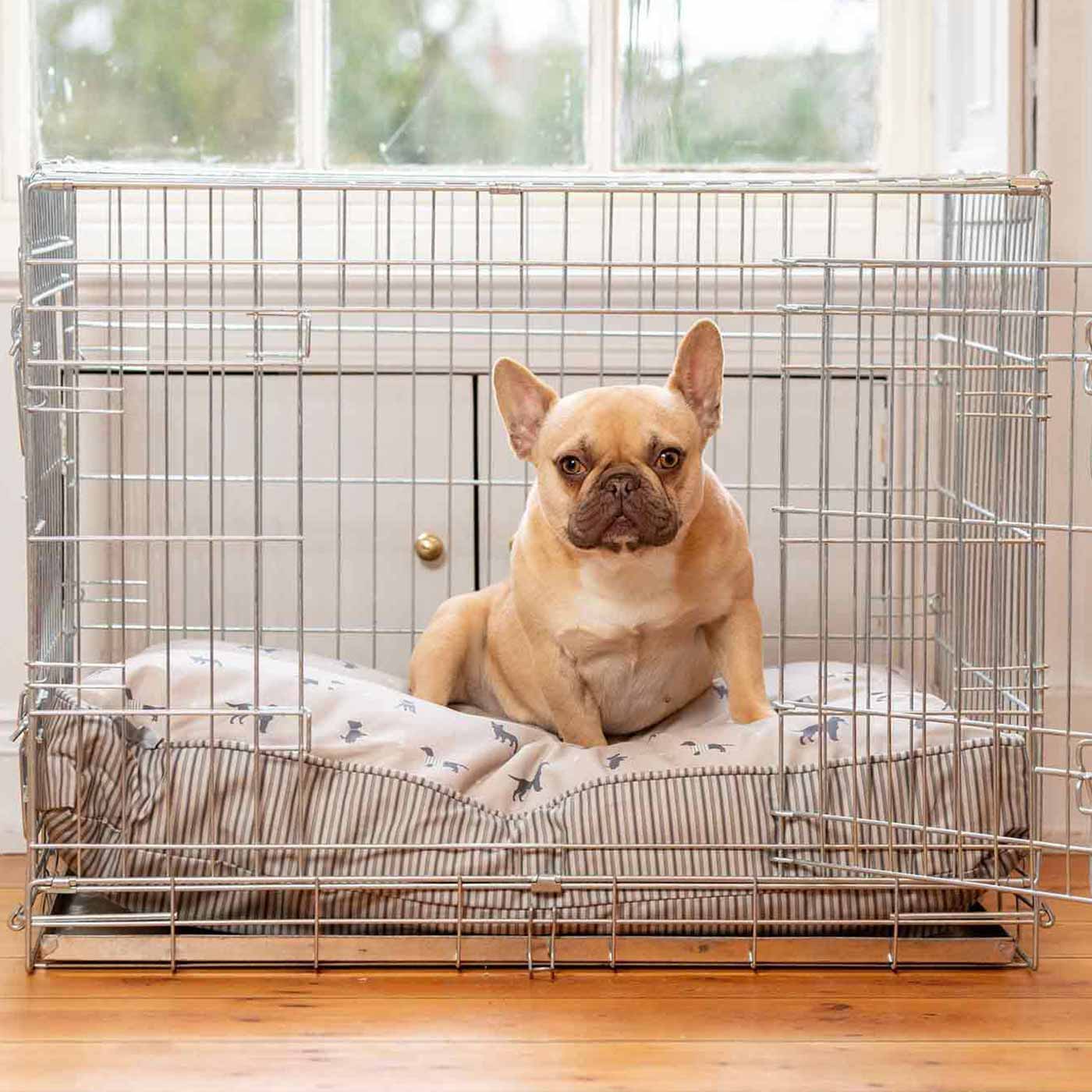 Imperfect Dog Cushion In Cosmopolitan Dog