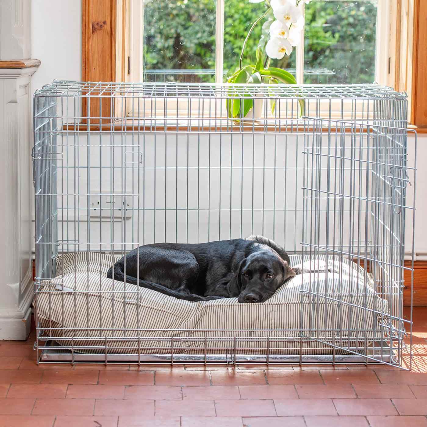 Imperfect Dog Cushion In Regency Stripe