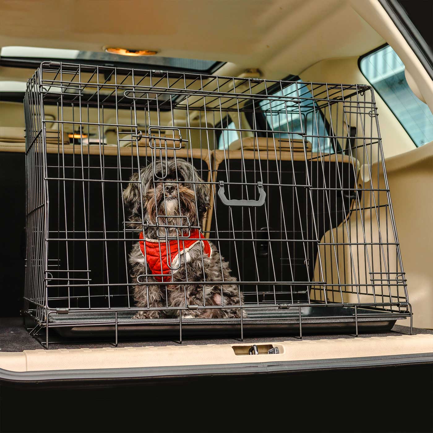 Beautiful view of Dog Crate For Car With Tray