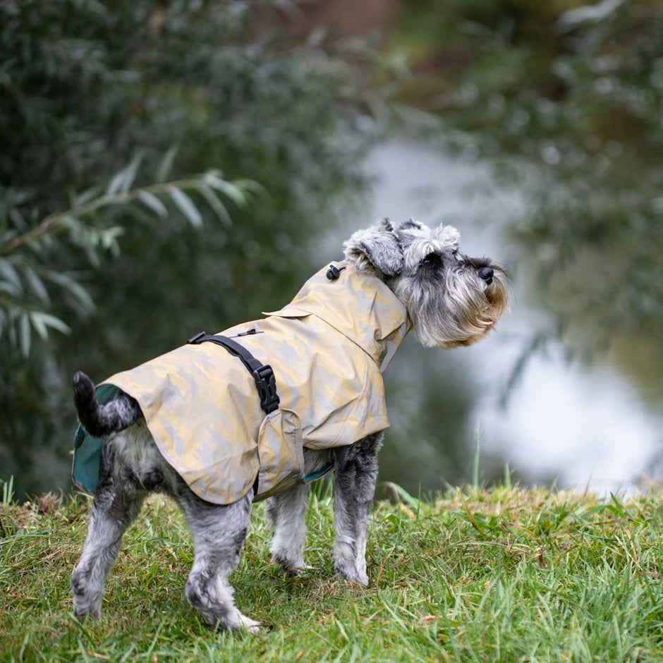 Designer Dog Coats Tweed & Waterproof Coats for Dogs Lords & Labradors