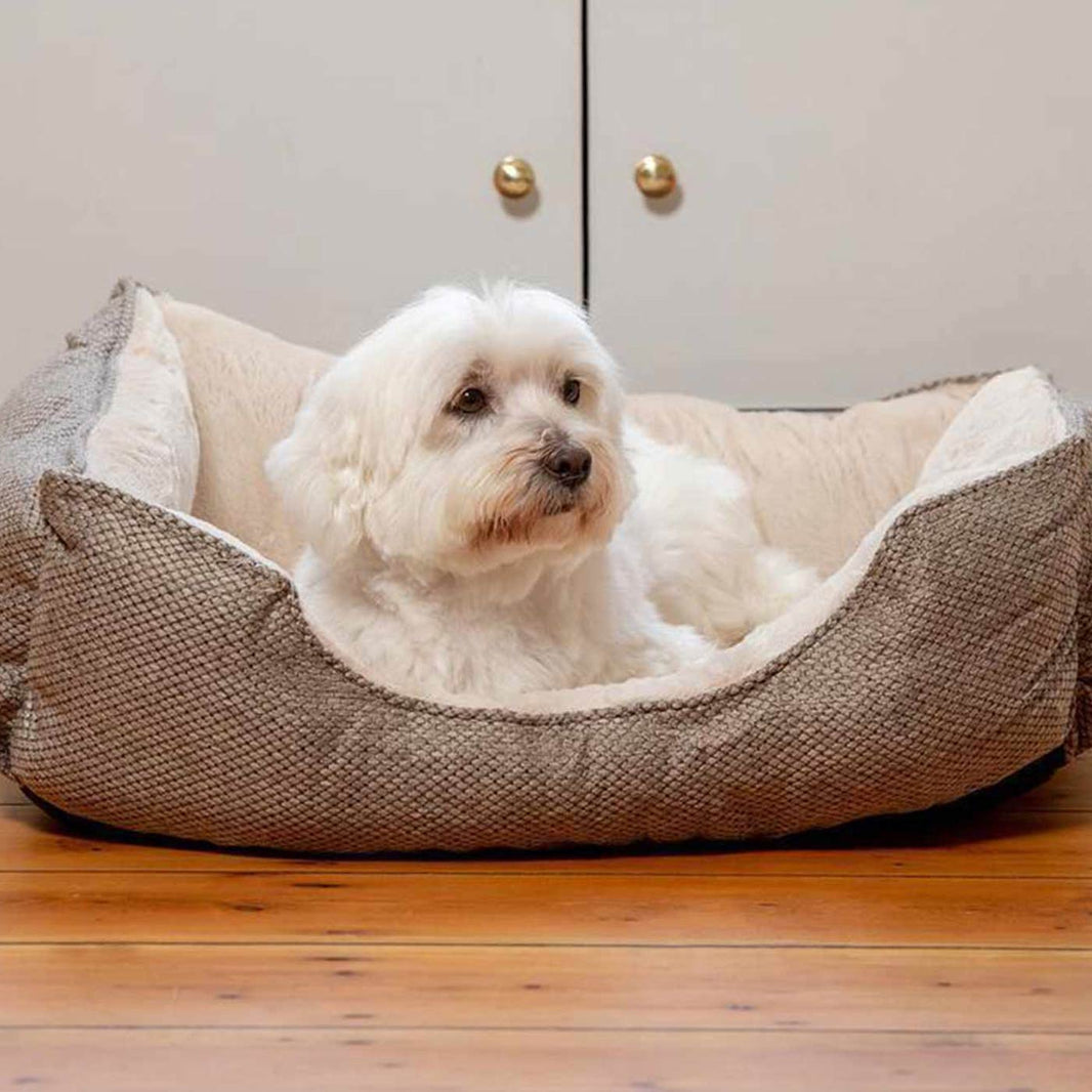 Luxury Dog Beds Unique, Modern Designer Dog Beds Lords & Labradors