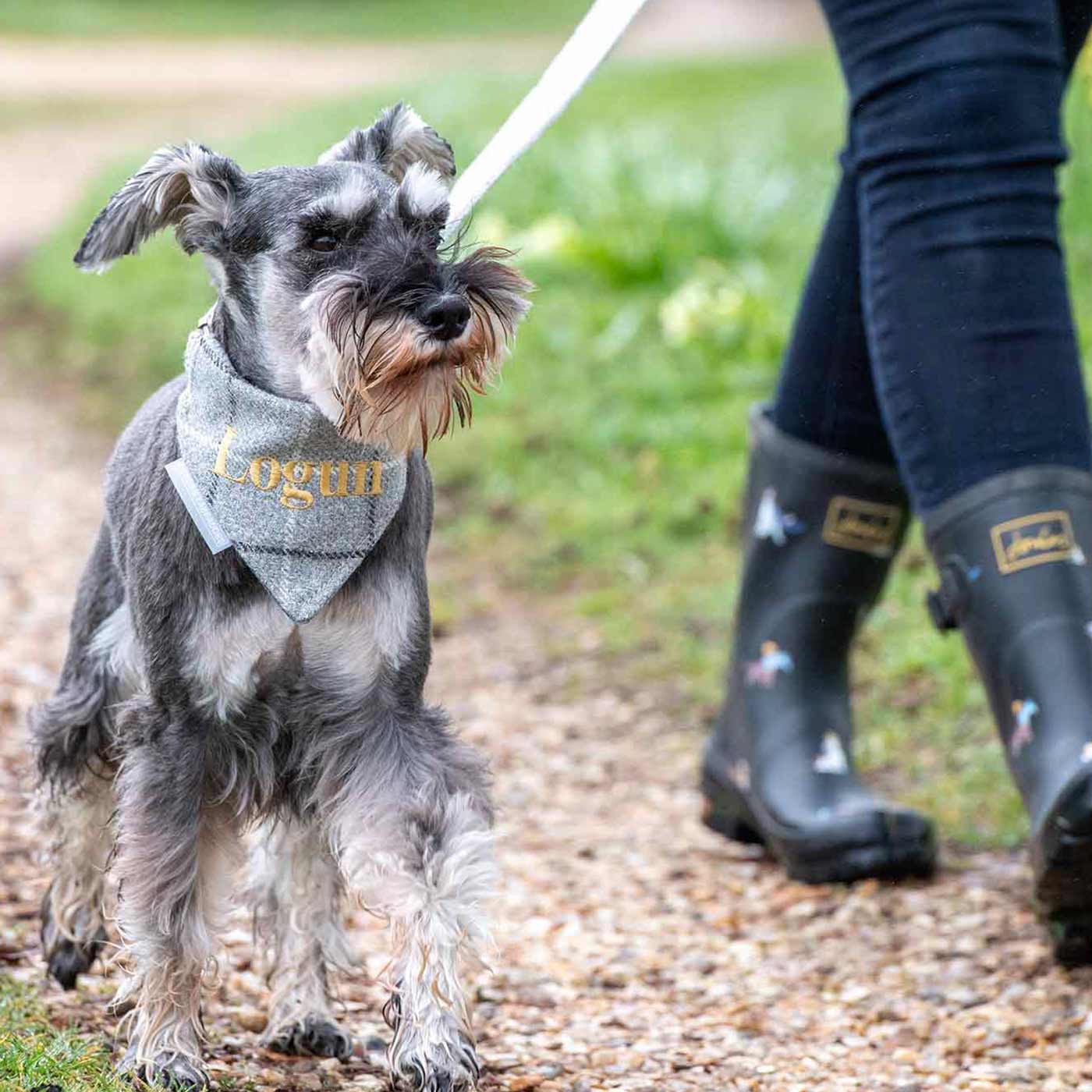 Designer Dog Clothing Luxury Doggie Clothes Lords & Labradors