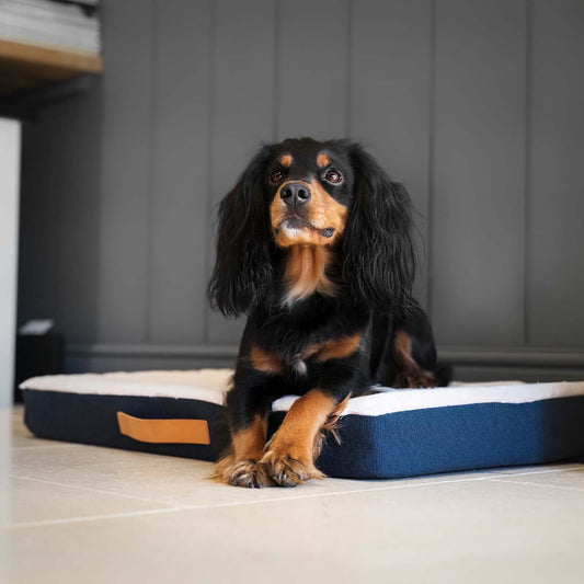 Discover the perfect dog mattress, our luxury essentials twill Orthopaedic mattress in stunning navy denim. Present to your furry friend with this Italian handmade mattress for dogs, available now at Lords & Labradors  