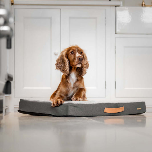 Discover the perfect dog mattress, our luxury essentials twill Orthopaedic mattress in stunning grey slate. Present to your furry friend with this Italian handmade mattress for dogs, available now at Lords & Labradors    