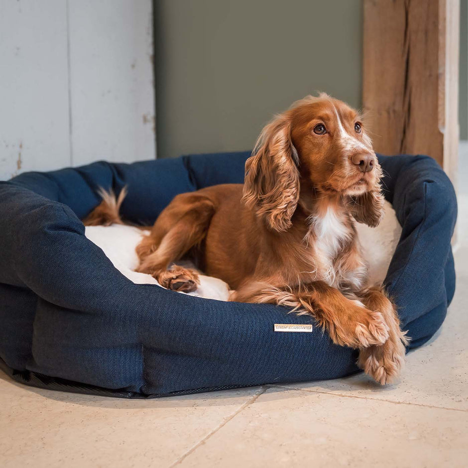 Luxury Dog Beds | Unique, Modern Designer Dog Beds | Lords & Labradors ...
