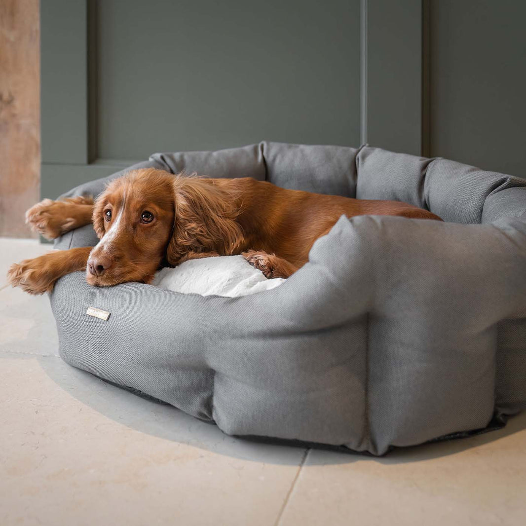 Luxury Dog Beds Unique, Modern Designer Dog Beds Lords & Labradors