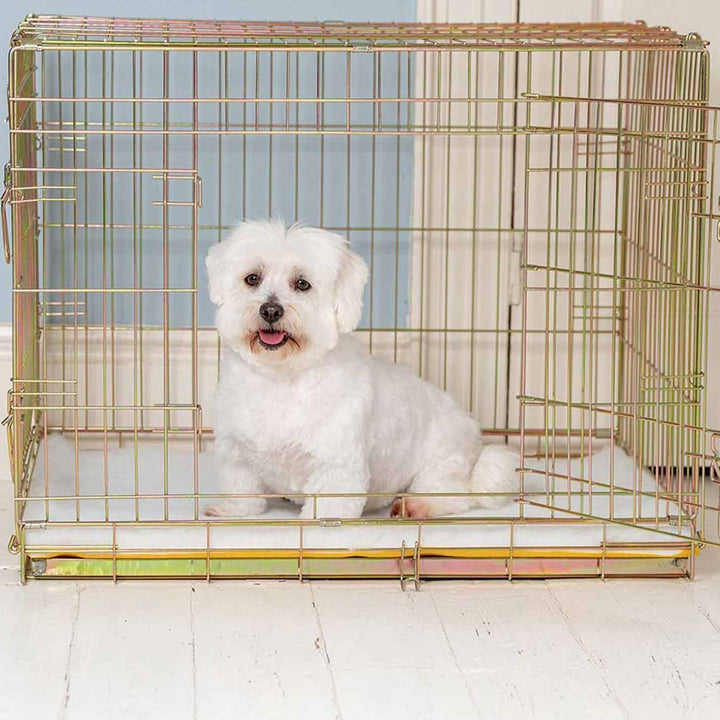 Luxury Dog Beds Unique, Modern Designer Dog Beds Lords & Labradors