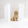 Medium Wooden Dog Gate by Lords & Labradors