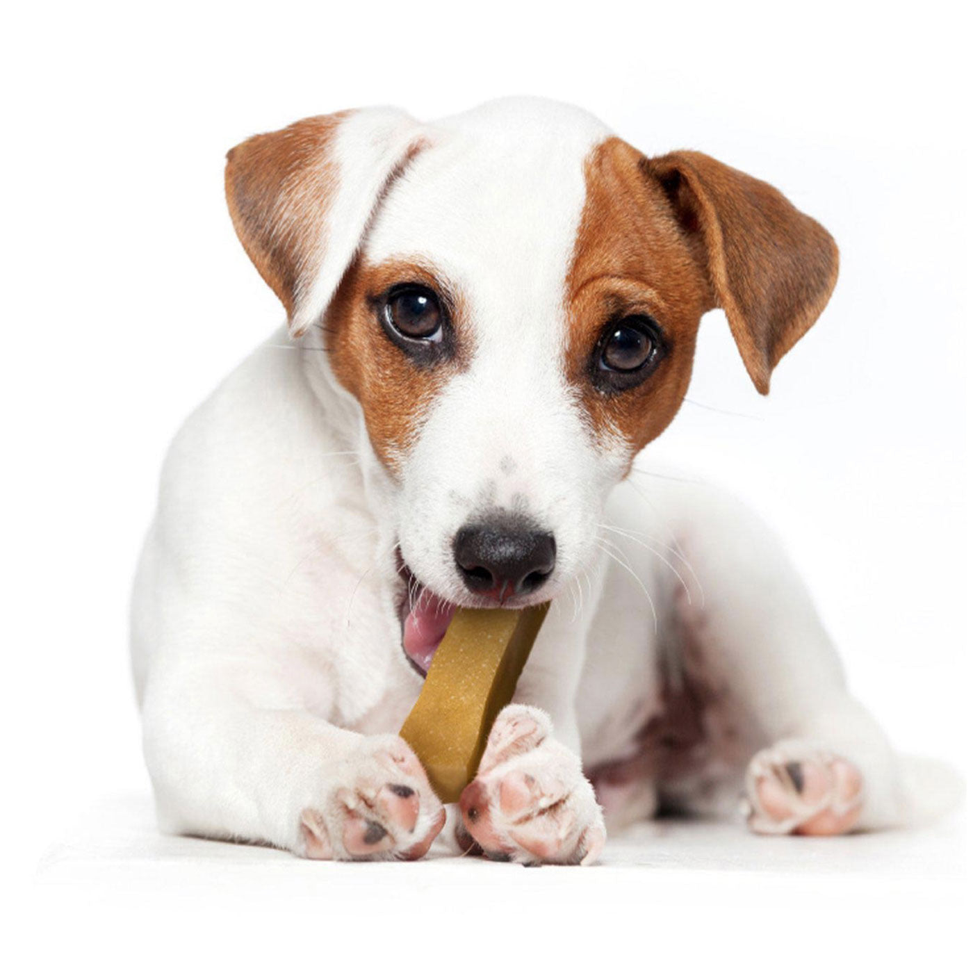 Yakers Dog Chew Rawhide Alternative Chews Lords and Labradors