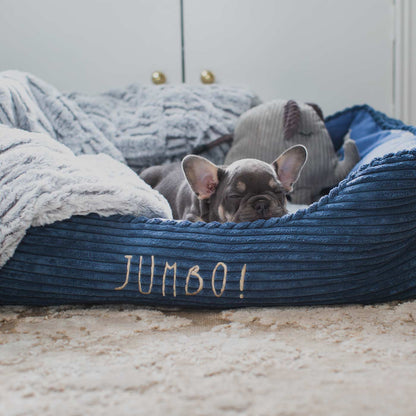 Zoon Jumbo square bed with french bulldog pup